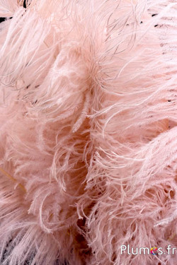 Autruche premium - 50-60 cm - beige rosé 